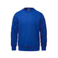 color=Bleu Royal;side=Avant