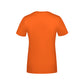 color=Orange;side=Arrière